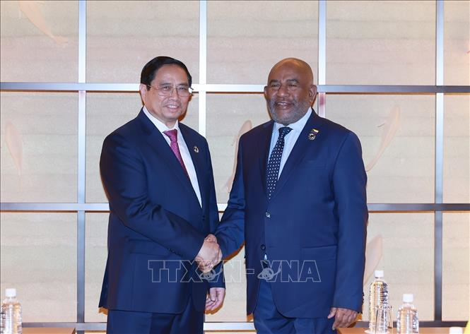 Thủ tướng Chính phủ Phạm Minh Chính hội kiến Tổng thống Liên bang Comoros

